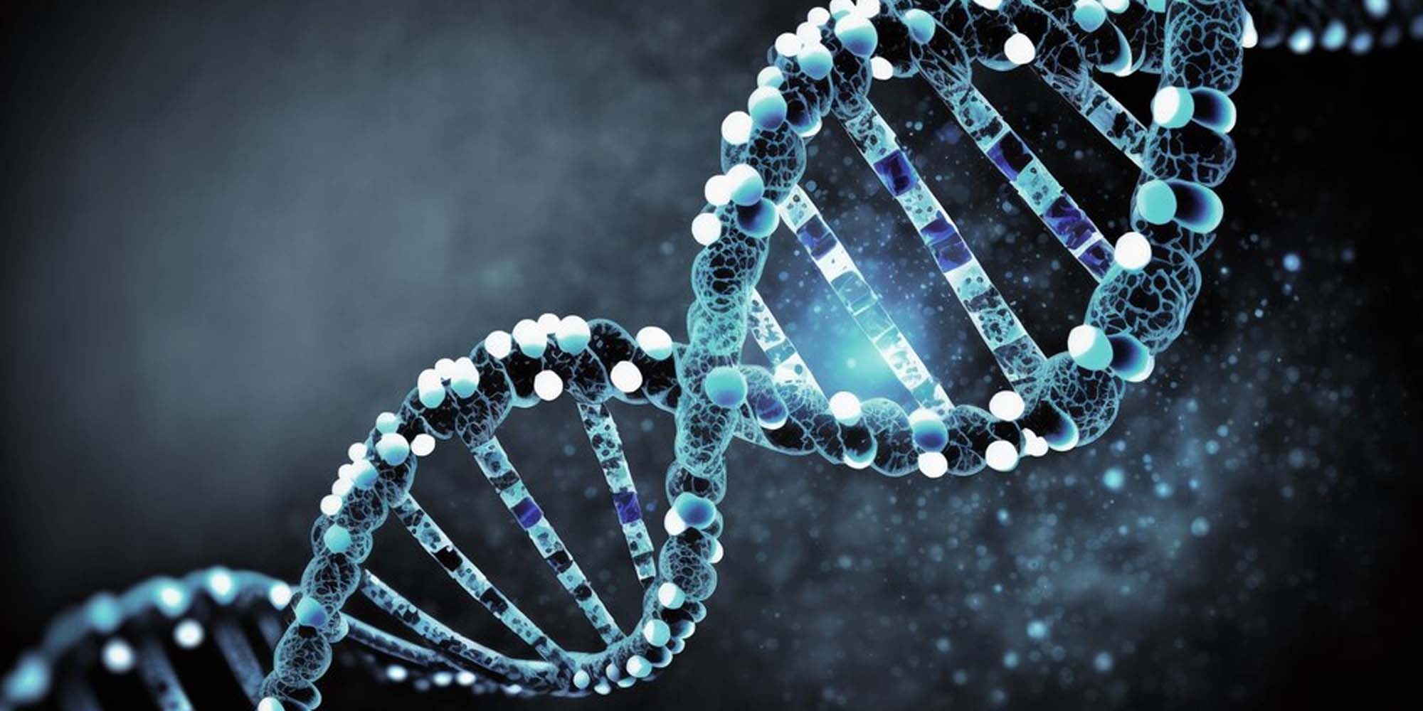 واژه DNA